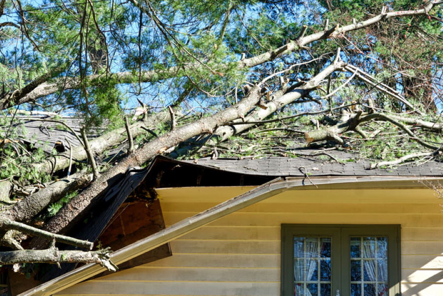 Storm Damage by Trinity Roofing - Builders